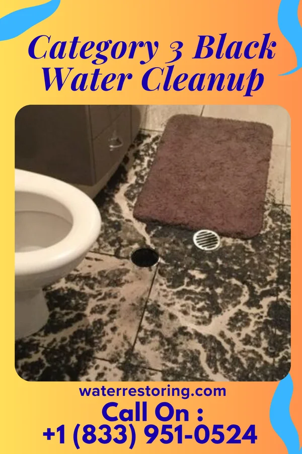 Category 3 Black Water Cleanup in Mendon, MI