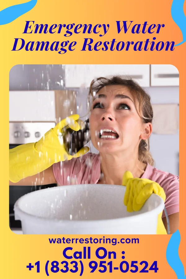 Emergency Water Damage Restoration in Mendon, MI