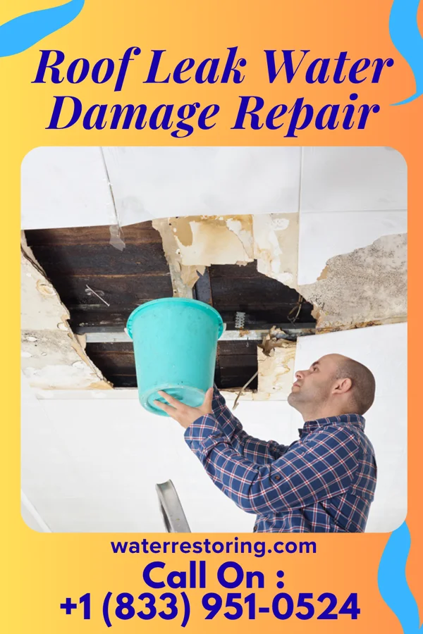 Roof Leak Water Damage Repair in Mendon, MI