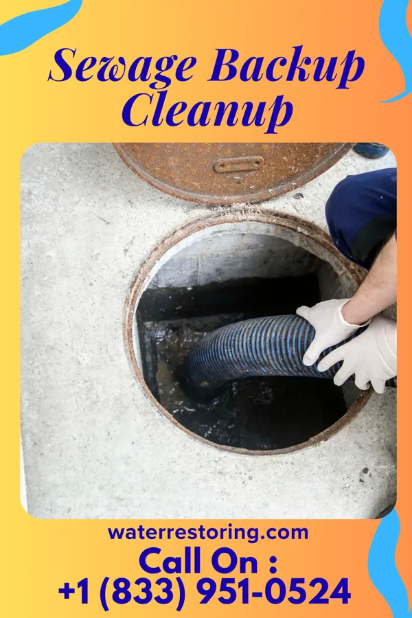 Sewage Backup Cleanup in Mendon, MI